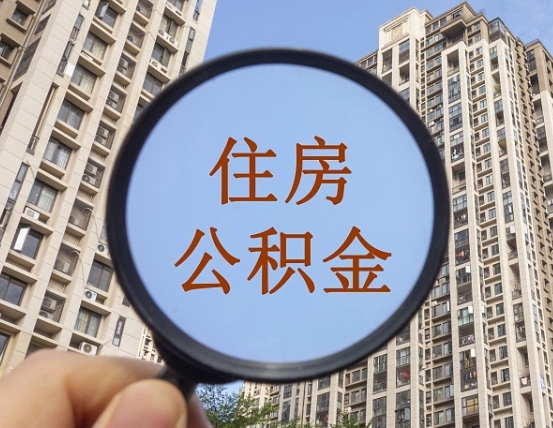 新余退休后查不到公积金明细了吗（退休后公积金查询不到原因）